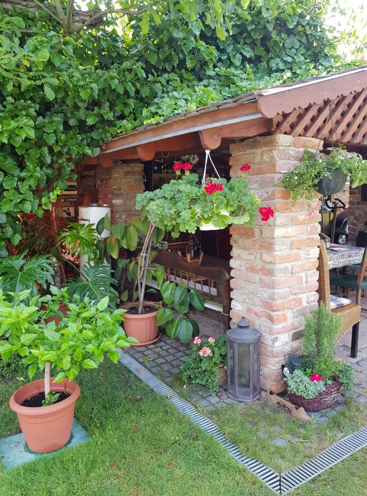 Daróczi-Dajka Hajnalka kertje 01